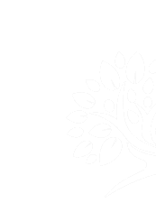 Logo Skewed