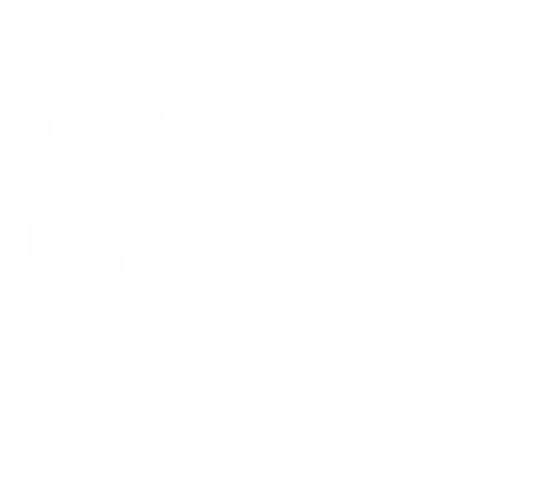 Logo Skewed