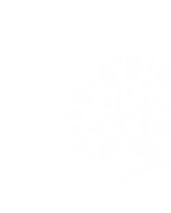 Logo Skewed